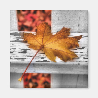 Imán Fall Leaf Magnet