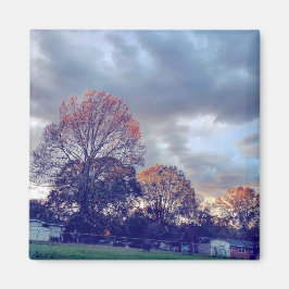 Imán Fallin' en el amor