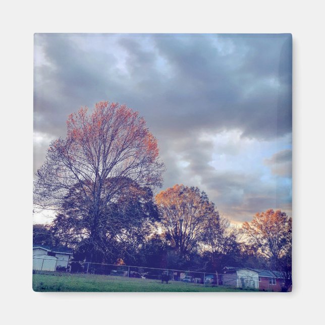 Imán Fallin' en el amor (Frente)