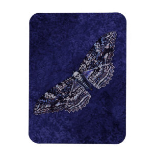 Imán Falln Deathshead Moth