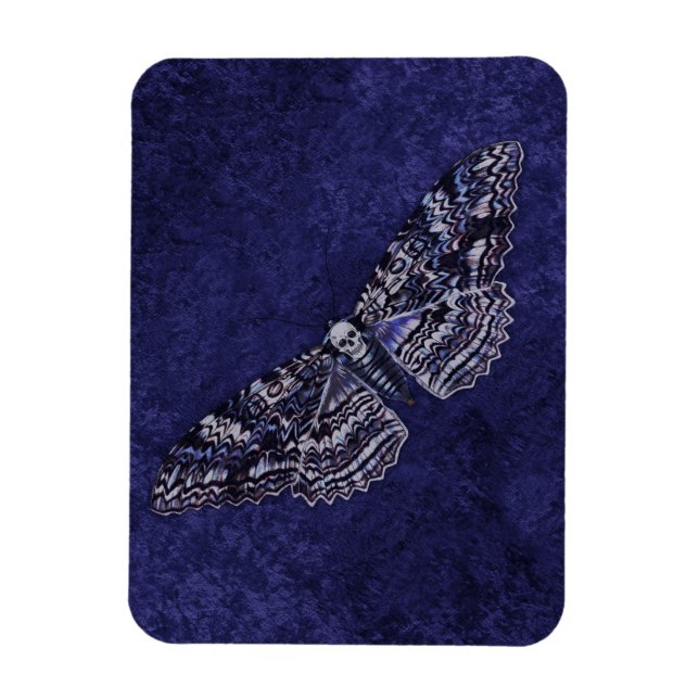 Imán Falln Deathshead Moth (Vertical)