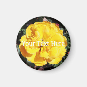 Imán Falln Sunshine Floral