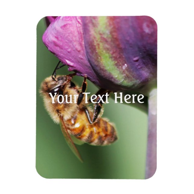 Imán Faln Fuzzy Little Bee (Vertical)