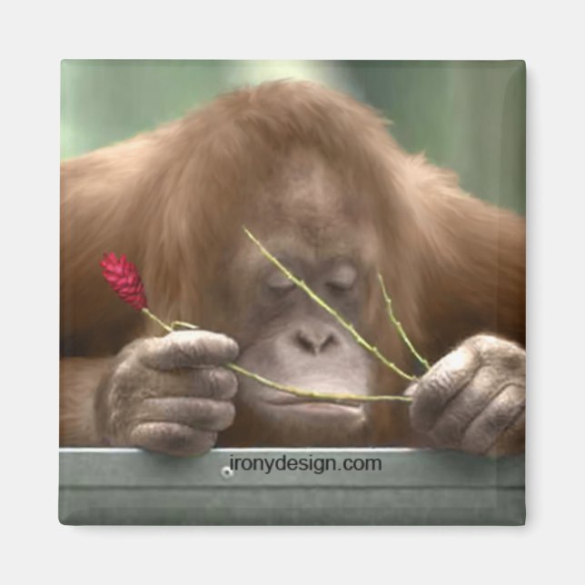 Imán Falta (Frente)