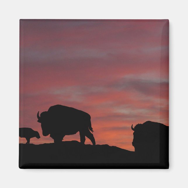 Imán Familia Bison (Frente)