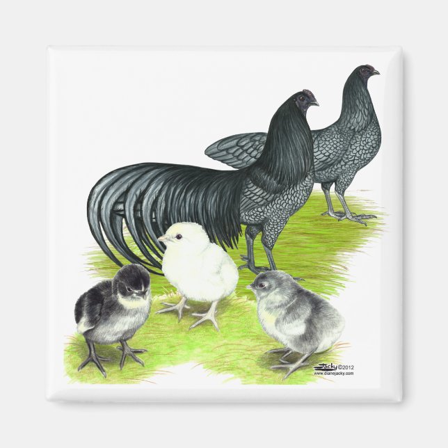 Imán Familia Blue Sumatra (Frente)