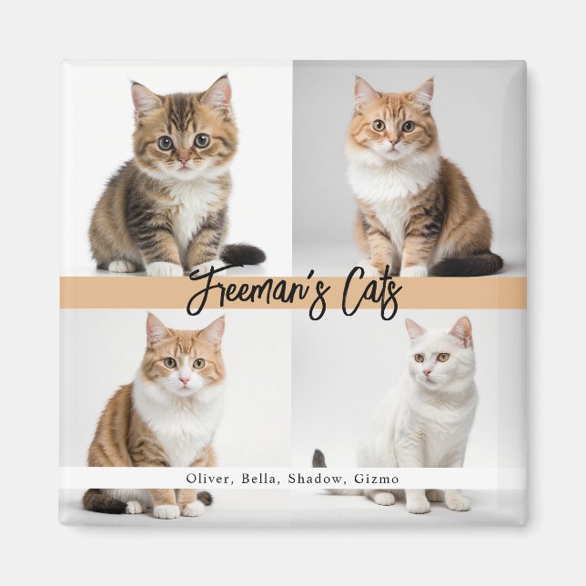 Imán Familia de fotos de gatos de Personalizado cutáneo (Frente)
