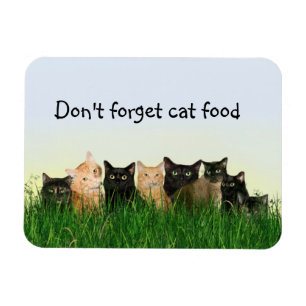 Imán Familia de gato