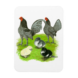 Imán Familia de juego azul Old English