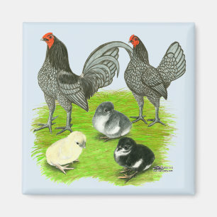 Imán Familia de juego Blue Old English