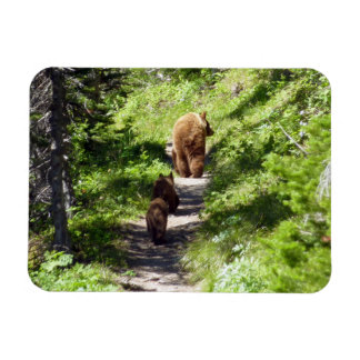 Imán Familia de oso marrón