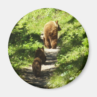Imán Familia de oso marrón