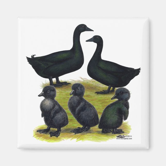 Imán Familia de patos Cayuga (Frente)