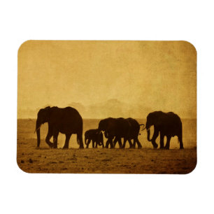 Imán Familia del elefante