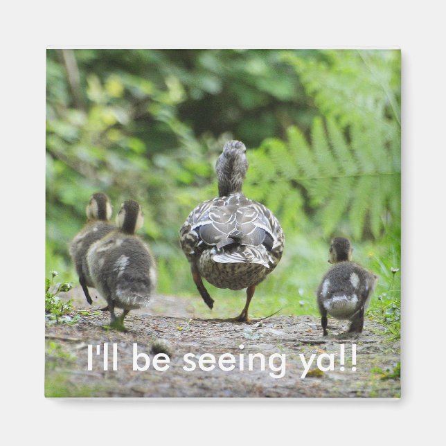 Imán Familia Duck (Frente)