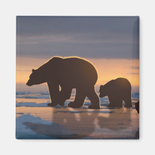 Imán Familia Oso Polar