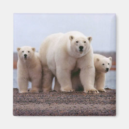 Imán Familia Oso Polar