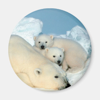 Imán Familia Oso Polar
