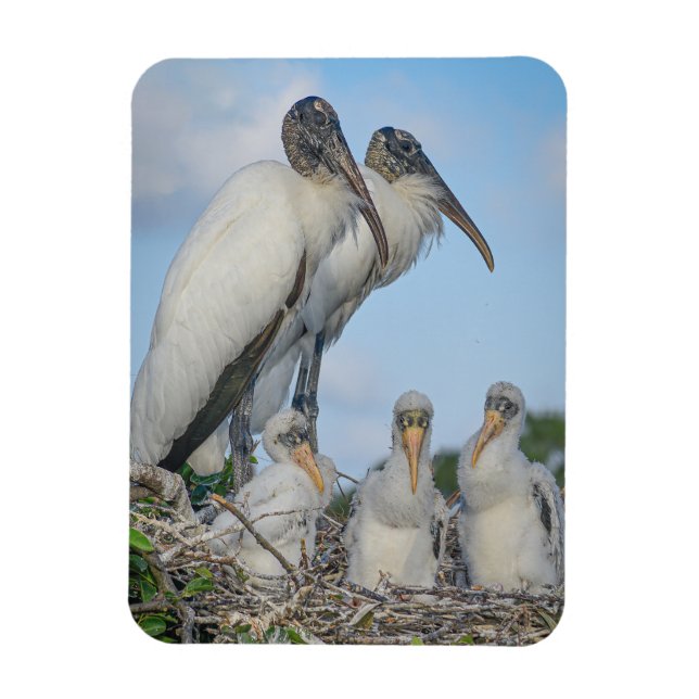 Imán "Familia Stork" (Vertical)