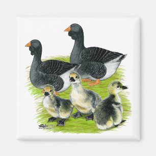 Imán Familia Toulouse Goose