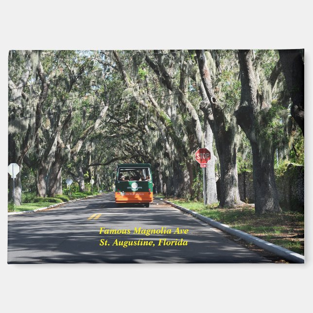 Imán Famosa Magnolia Ave St. Augustine, Florida (Anverso)