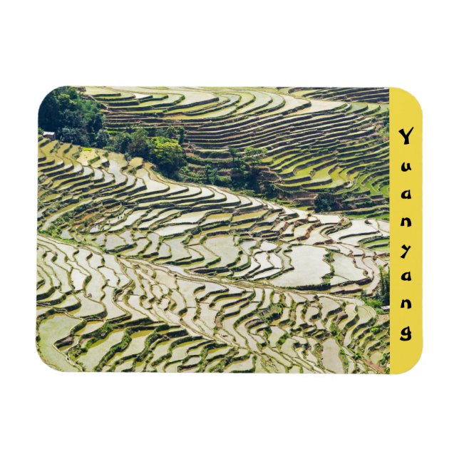Imán Famosas terrazas de arroz yuanyang - Yunnan, China (Horizontal)