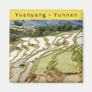 Imán Famosas terrazas de arroz yuanyang - Yunnan, China