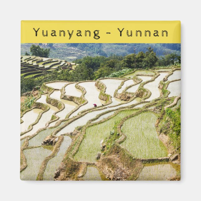 Imán Famosas terrazas de arroz yuanyang - Yunnan, China (Frente)