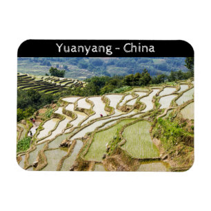 Imán Famosas terrazas de arroz yuanyang - Yunnan, China