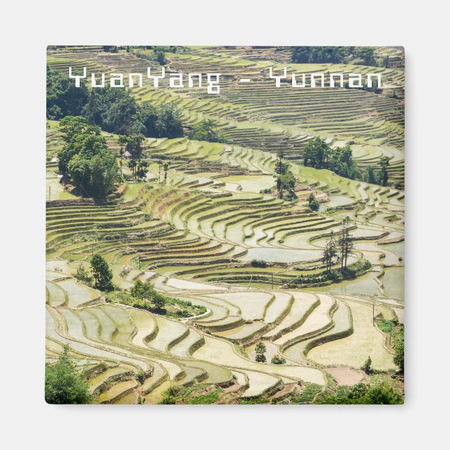 Imán Famosas terrazas de arroz yuanyang - Yunnan, China (Frente)