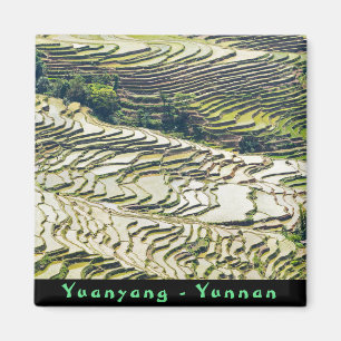 Imán Famosas terrazas de arroz yuanyang - Yunnan, China