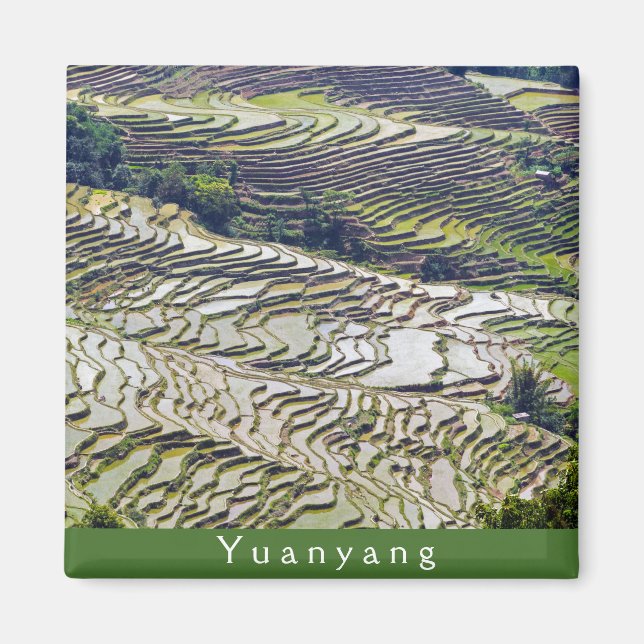 Imán Famosas terrazas de arroz yuanyang - Yunnan, China (Frente)