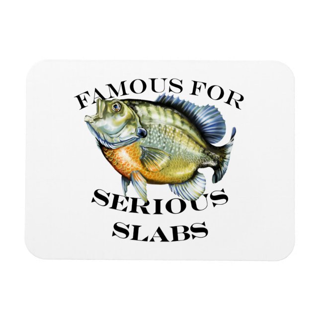 Imán Famoso Por La Luz De Las Láminas Graves (Horizontal)