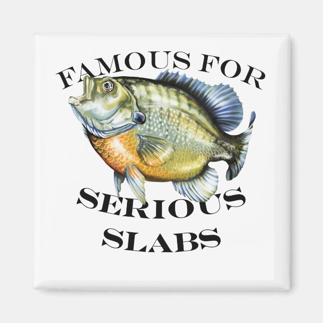 Imán Famoso Por La Luz De Las Láminas Graves (Frente)