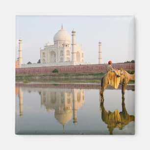 Imán Famoso templo Taj Mahal sitio de entierro en todo