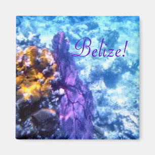 Imán Fan de mar de Belice