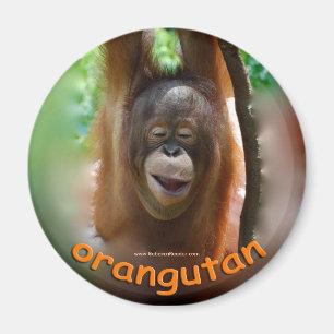 Imán Fan del funcionario del orangután