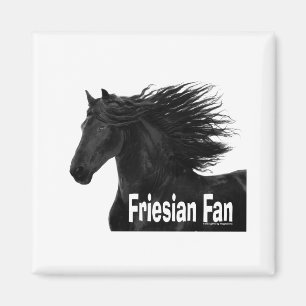 Imán Fan frisia