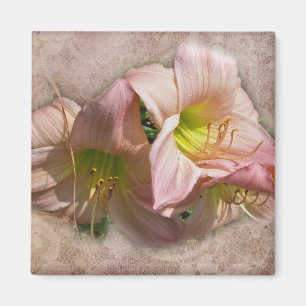 Imán Fancy Pink Daylilies