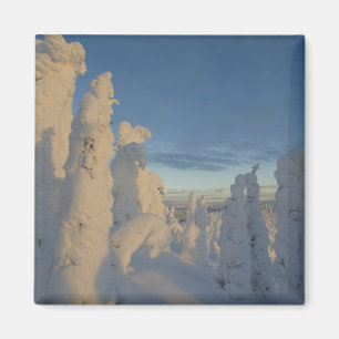 Imán Fantasmagorías de nieve al atardecer en Whitefish 
