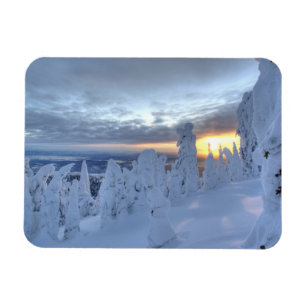 Imán Fantasmas de nieve al atardecer en Whitefish Mount