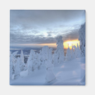 Imán Fantasmas de nieve al atardecer en Whitefish Mount