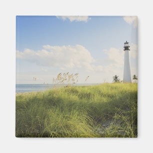 Imán Faro de Cape Florida Bill Baggs, Bill Baggs
