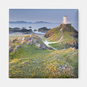 Imán Faro del Mawr de Twr en la isla de Llanddwyn