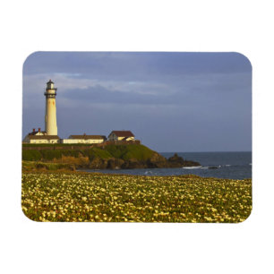 Imán Faro en la playa estatal Pigeon Point en San