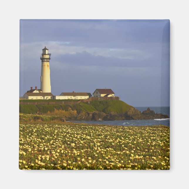 Imán Faro en Pigeon Point State Beach en San (Frente)
