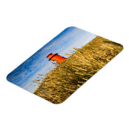 Imán Faro en Stykkisholmur, Islandia