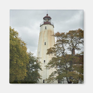 Imán Faro Sandy Hook