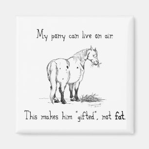 Imán Fat Pony Magnet