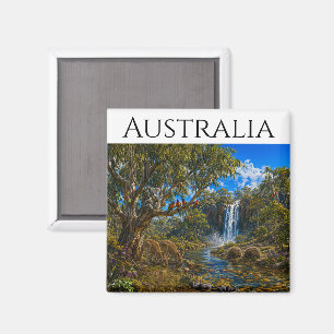 Imán Fauna de Australia: equidnas